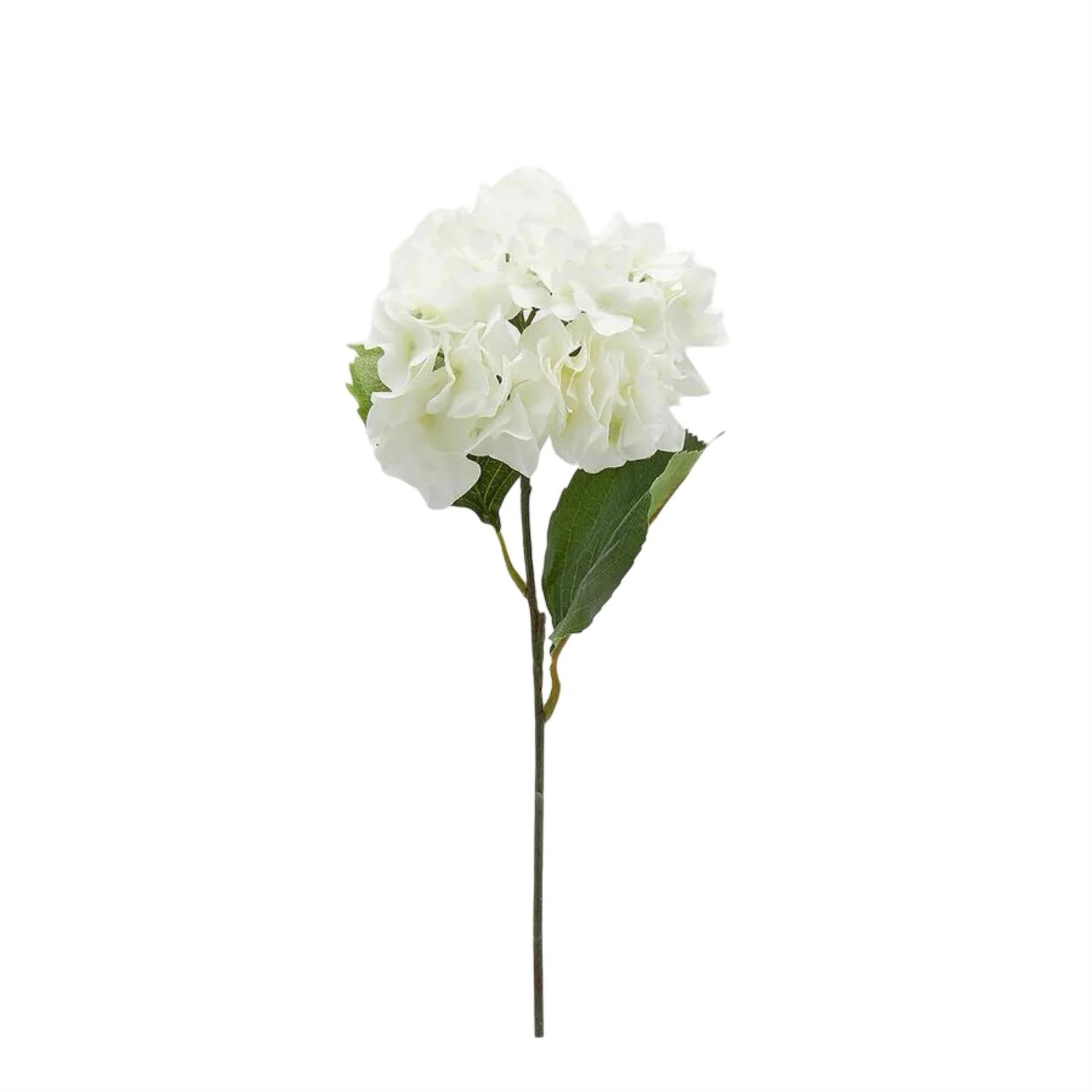Miniatyr 1